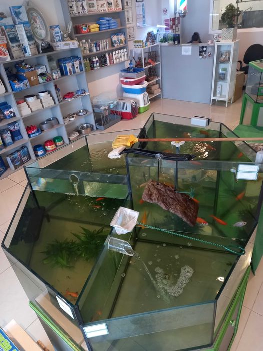 Aquário cascata para petshop63824202491907122