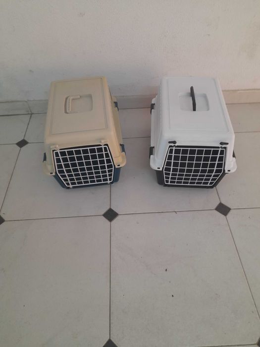 Transportadora gato nova