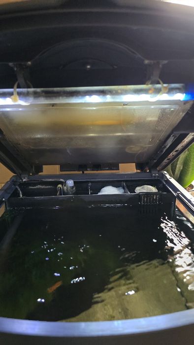 Aquário Será Biotop mano Cube 60lt