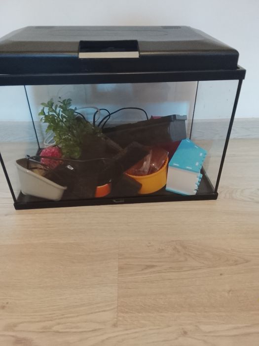 Aquário     peixes