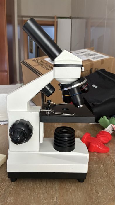 Microscopio bebang