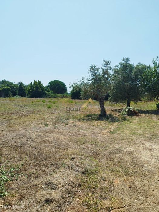 Terreno Urbano com 2.608m² em Moleanos — Évora de Alcobaça, Leiria