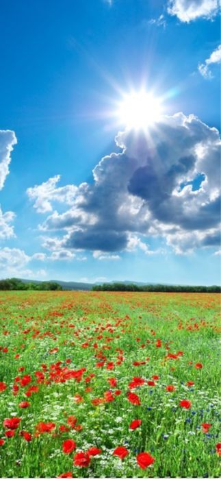 Pomoc domowa sprzatanie