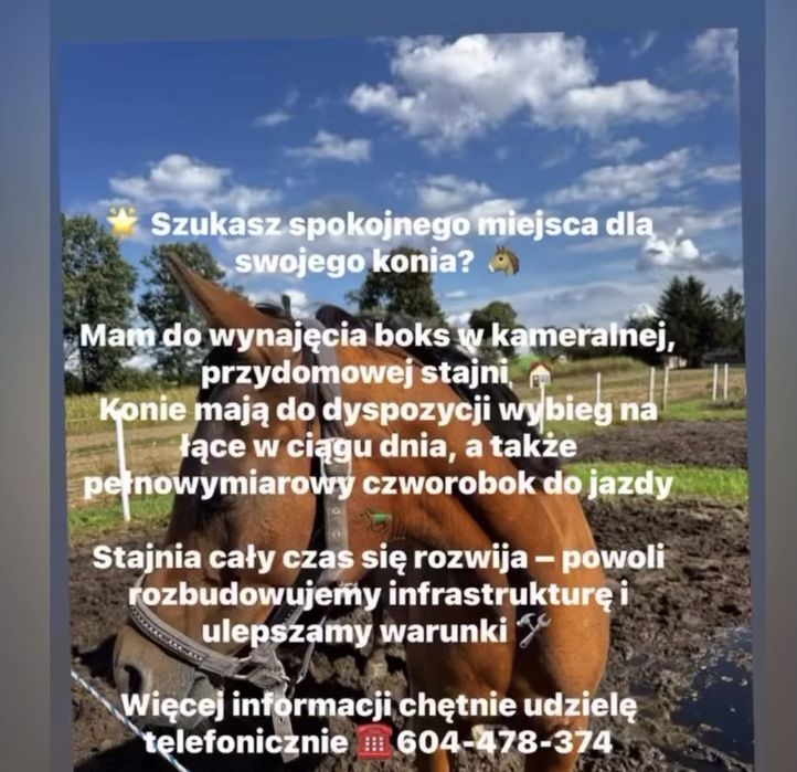 Boksy w kameralnej stajni przydomowej