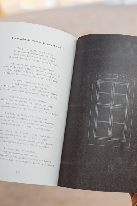 Livro de Poesia "O Caderno das Linhas Dispersas"