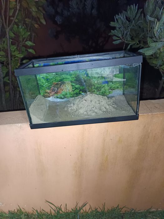 Aquário de 50 cm