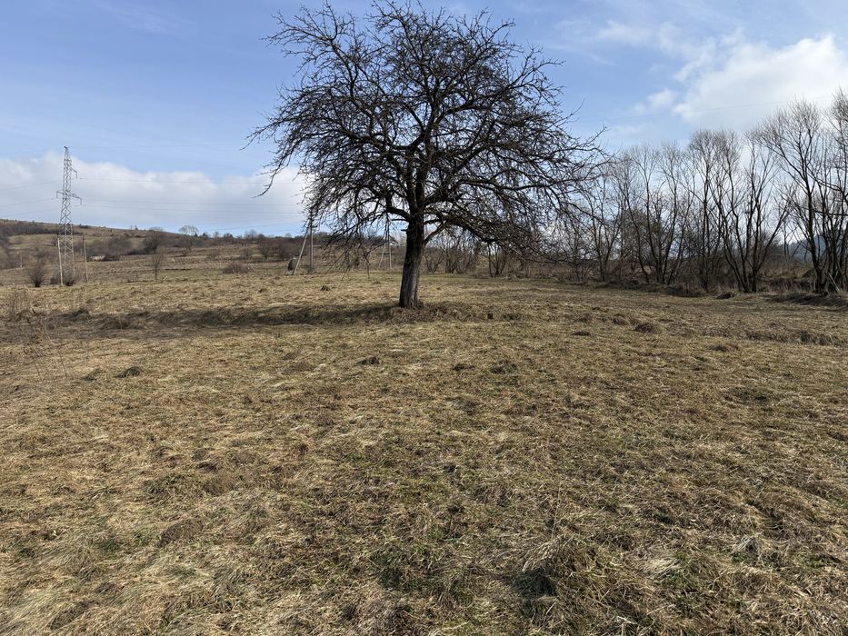 Продаж землі смт.Міжгірʼя 31 сотка