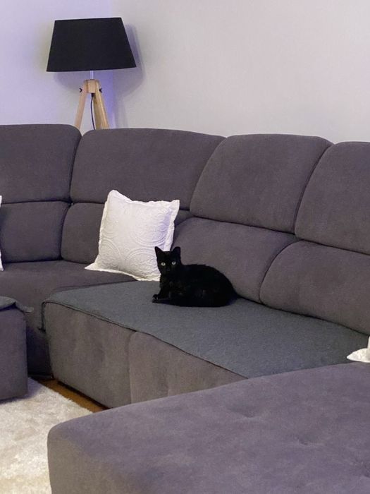 Sofá Chaise Longue