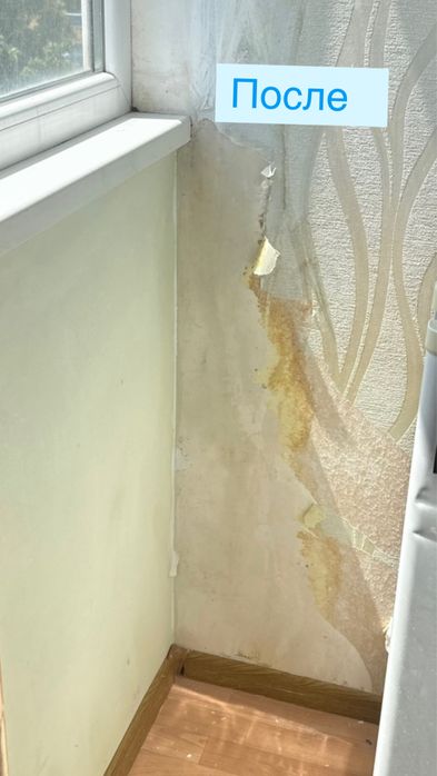 Удаление грибка , устранение грибка ! Удаление плесени с гарантией