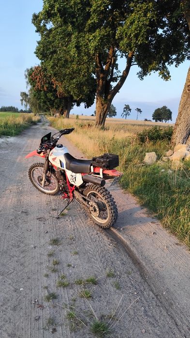 Honda xl600r zarejestrowana!