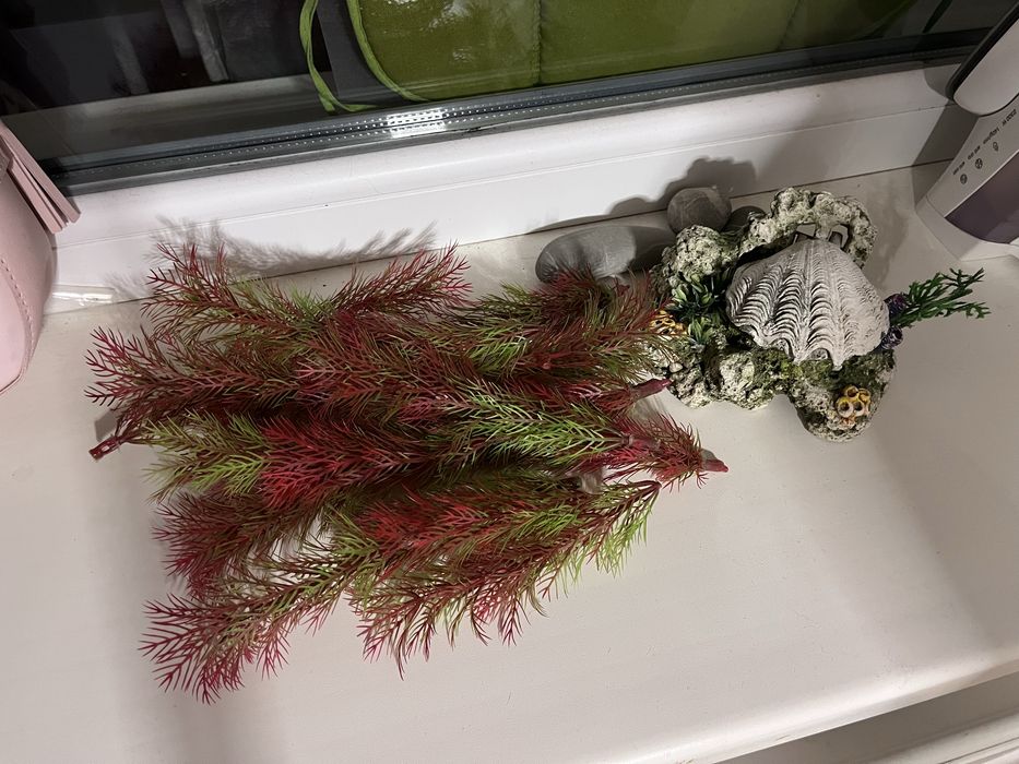 Акваріум 60 л з комплектуючими та рибками