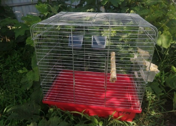 Клітка для птахів бу