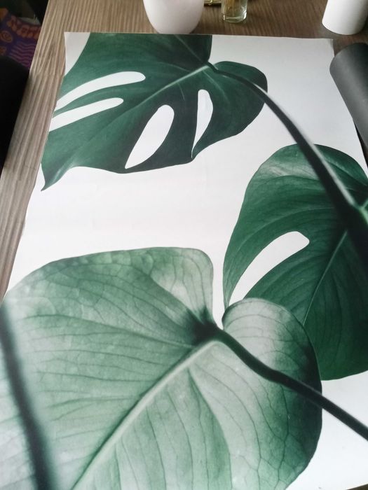 Poster Desenio folhas verdes64751963633282122