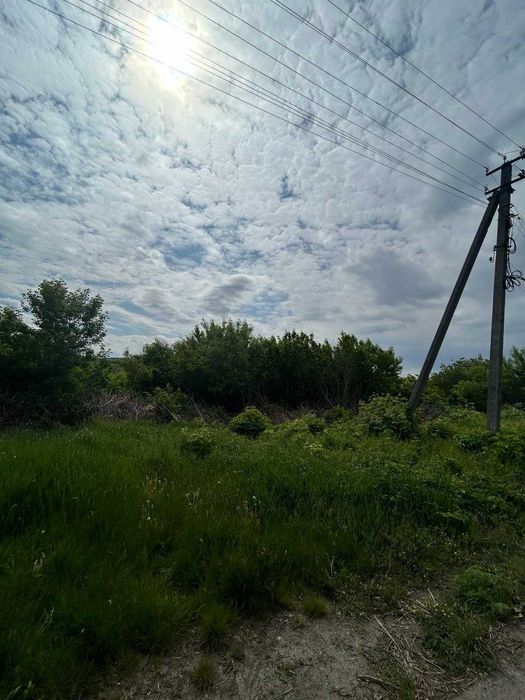 Земельні ділянки 1.05 га (0,36 та 0.69) в с. Гродзеве Уманський район