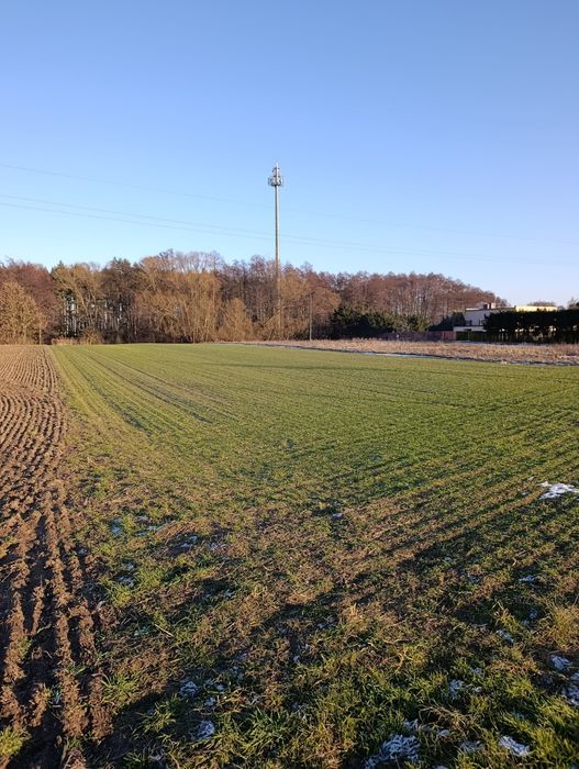 Działka z dostępem do asfaltowej drogi
