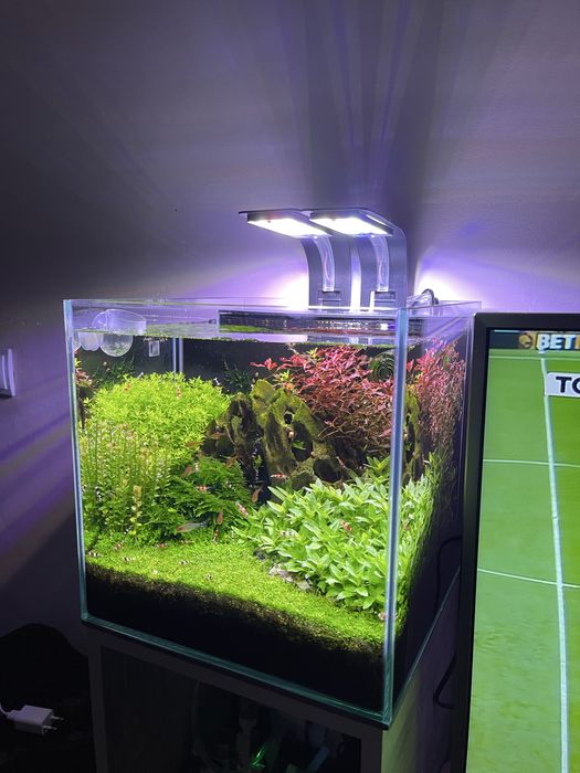 Акваріум 30х30х30