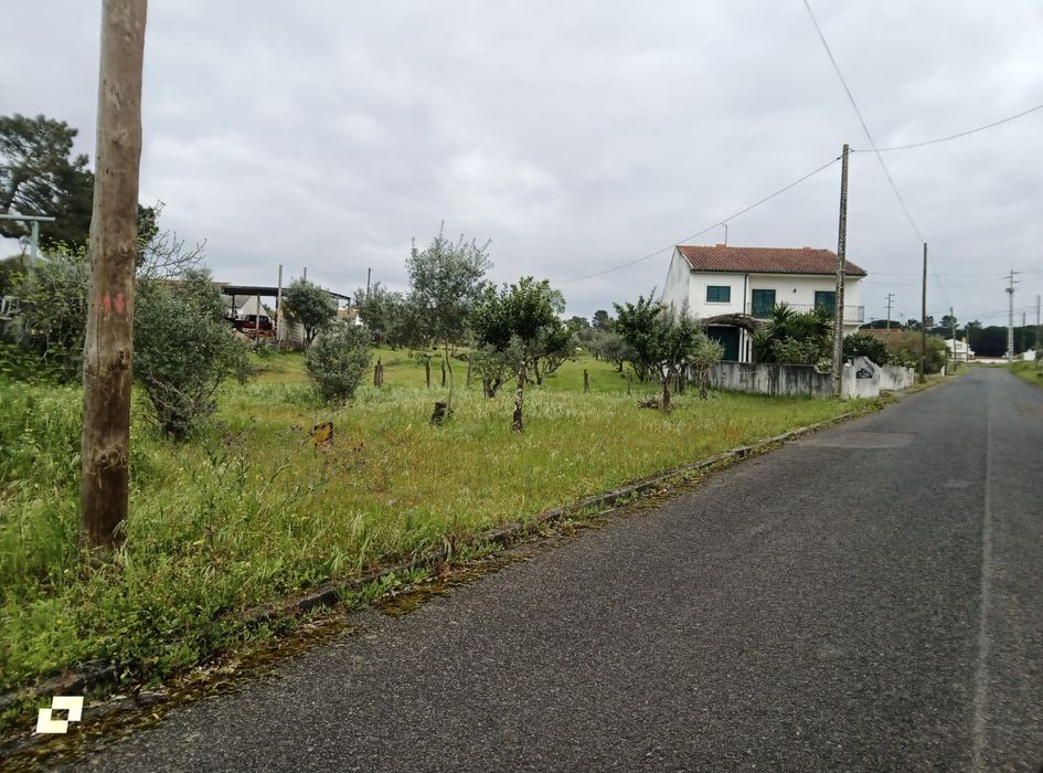 Terreno  para construção — Carregueira, Santarém