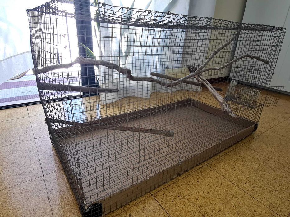 Gaiola Média/Grande para Aves + Acessórios e Ninho Incluídos