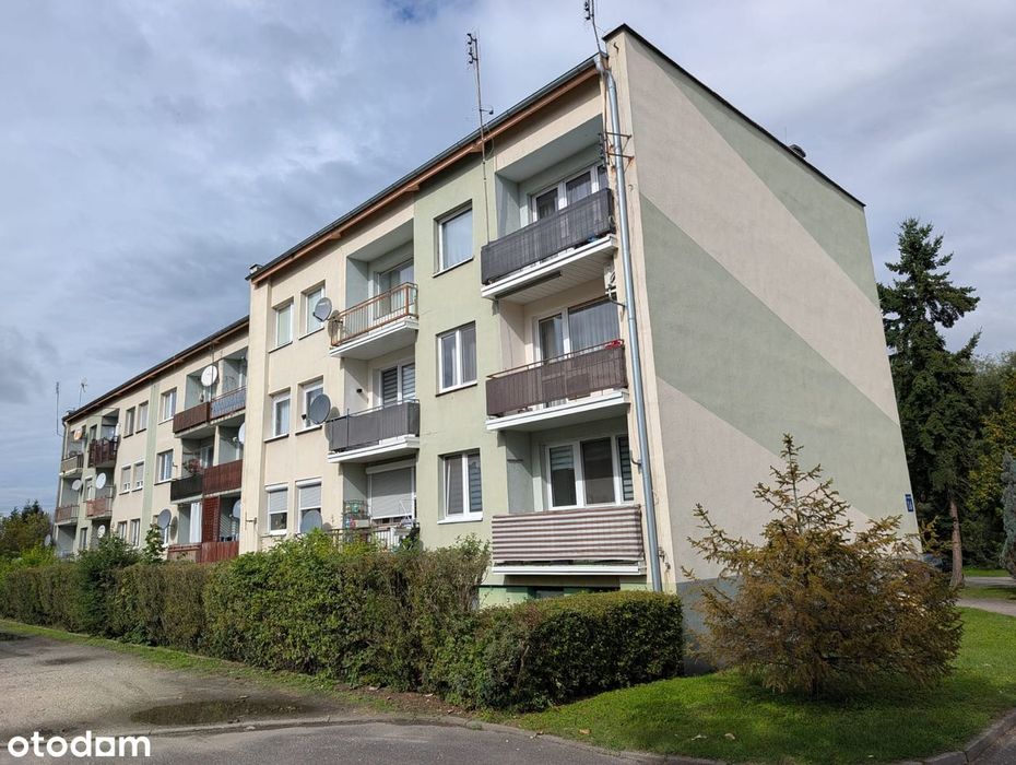 Mieszkanie Syców ul. Matejki | 50,9 m² | 1. piętro | dwa osobne pokoje