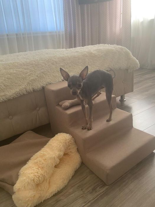 Драбина для собак/ сходинки для собак