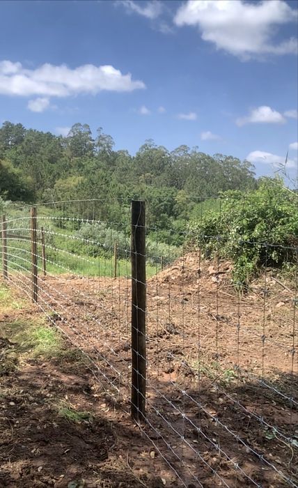 Vedacao de propriedade