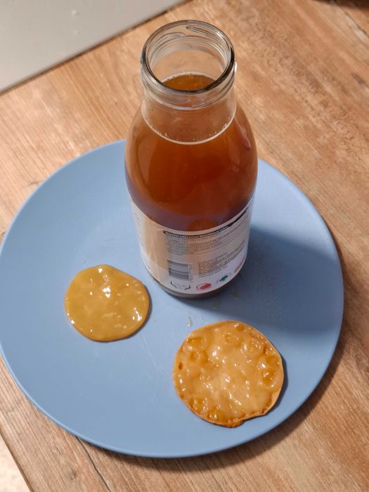 Grzybek herbaciany kombucha kombucza SCOBY ze starterem