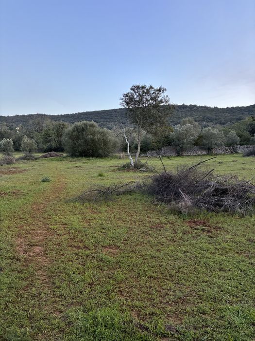 Terreno Rústico Goldra de Cima, Santa Bárbara de Nexe