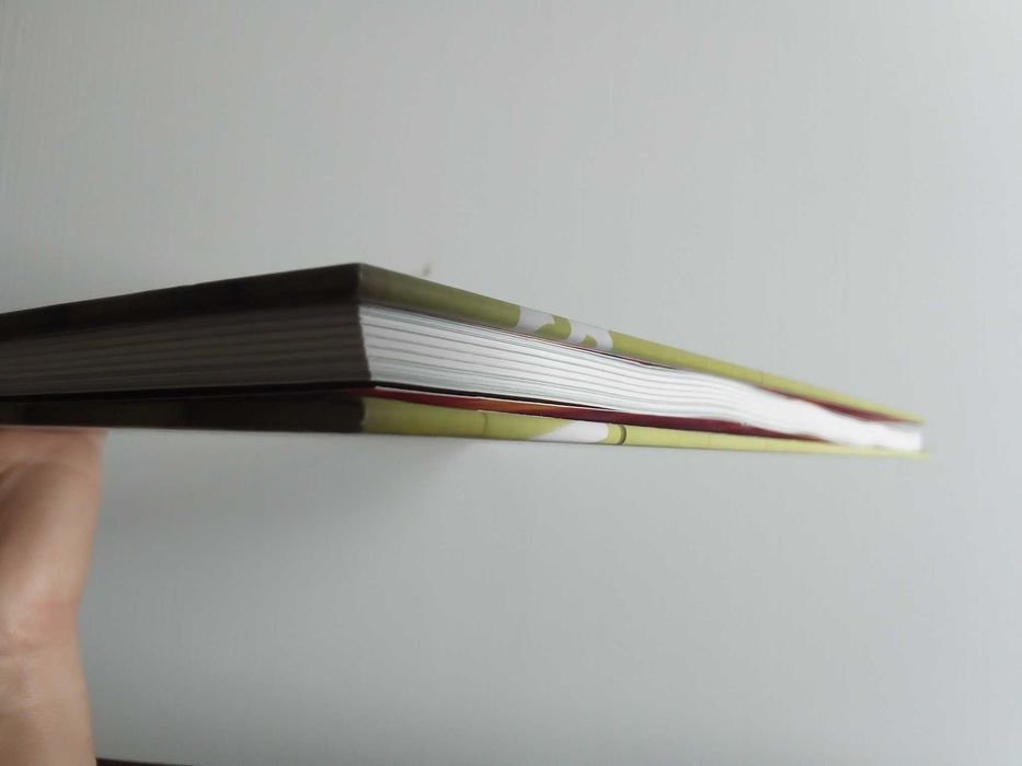 Livro "The Garden of Renova", Nuit Blanche 2014, Toronto