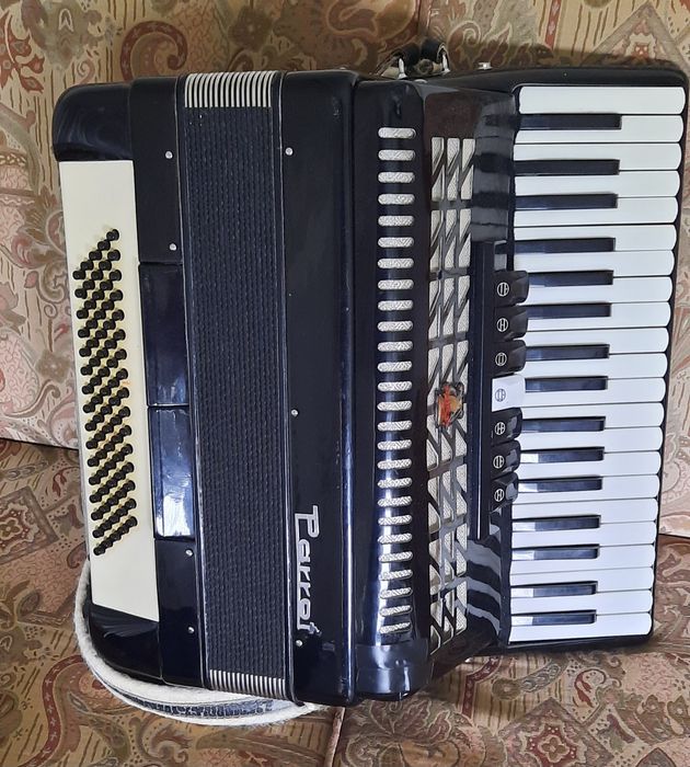 Accordion Marks Parrot64738537906434122