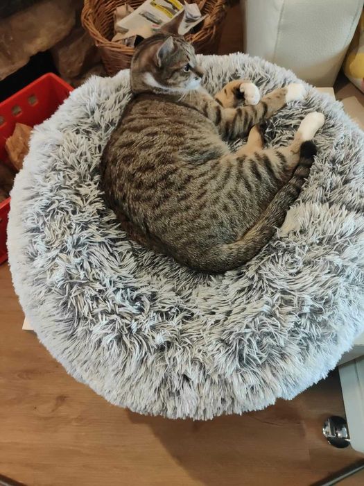 Legowisko Łóżko dla psa, kota miękkie szare