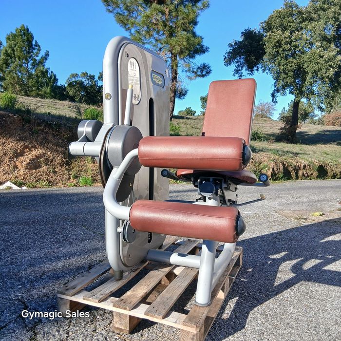 GYMAGIC-Leg curl sentado TECHNOGYM