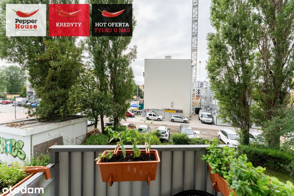 3 pokojowe mieszkanie po remoncie | balkon | winda