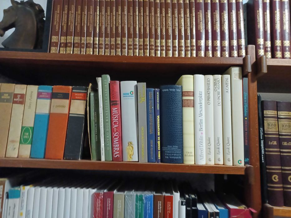 Livros diversos diversas categorias