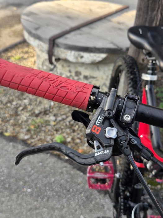 Specialized StumpJumper 29'