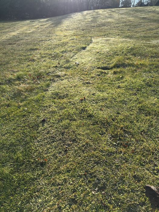 Oddam ziemie za darmo