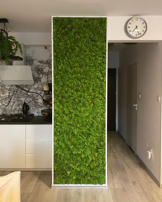 Ścianka z mchu obraz z mchu