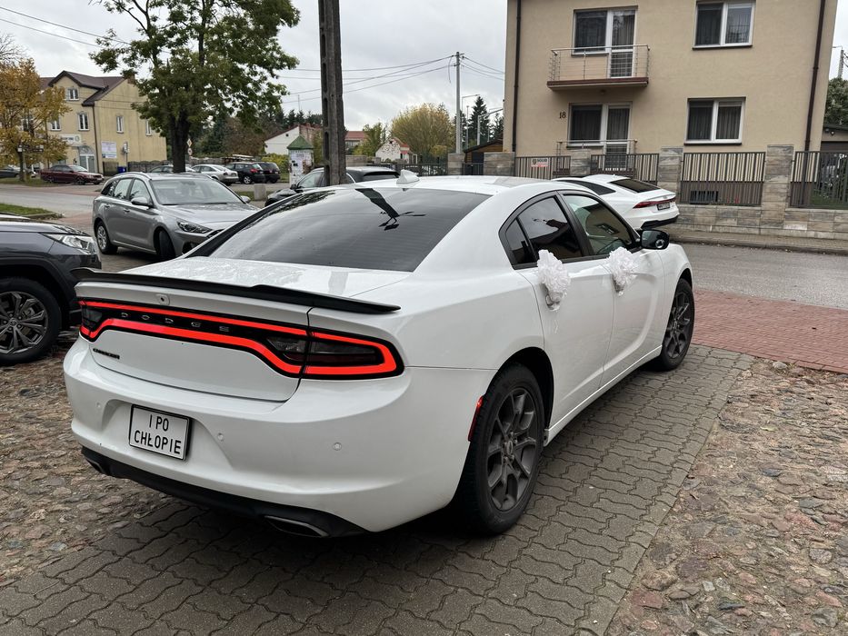Auto do ślubu biały Dodge Charger 18'
