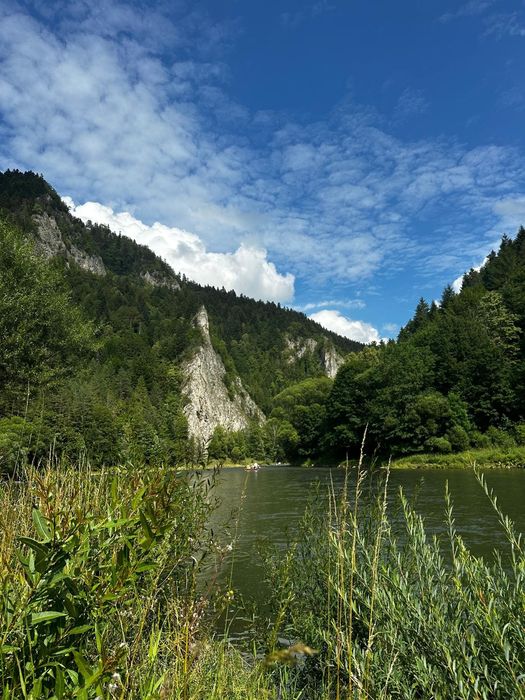 Noclegi w Pieninach Boguj