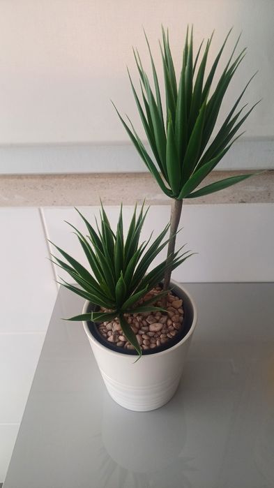Vaso ikea + planta  (novo)