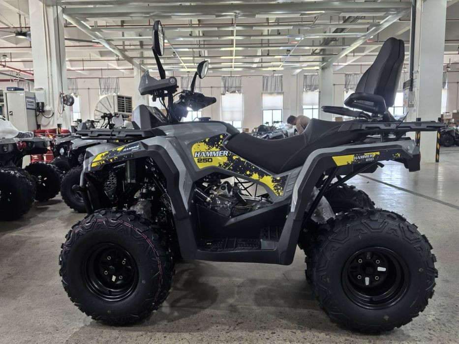 Квадроцикл Mikilon Hammer 250 L Pro