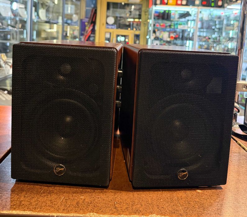 Głośniki Swans Hivi D1080 MKII+ 2.0 Bluetooth