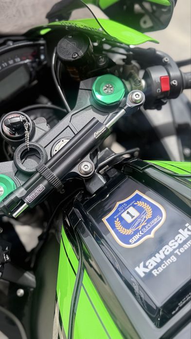 Kawasaki Zx10r Ninja WorldSBK Champion