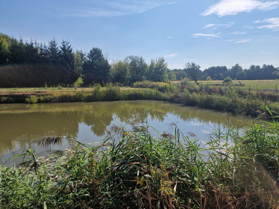 Klimatyczne siedlisko rolne