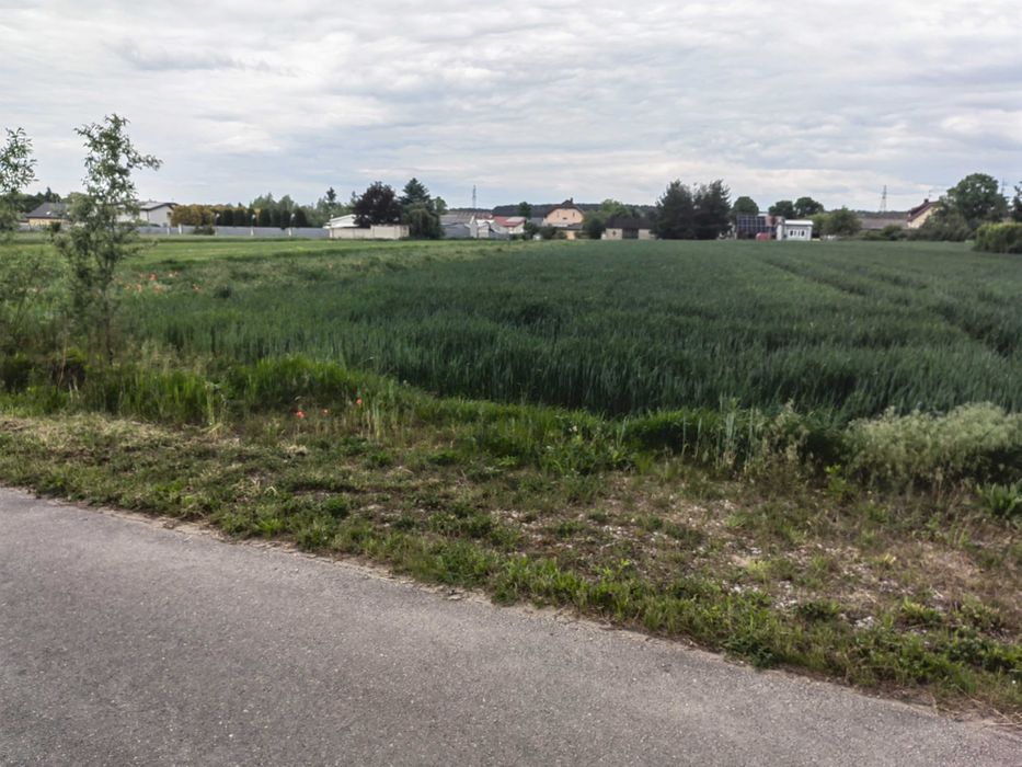Działka 30ar Gręzów koło Siedlec Mazowieckie - Widok 5