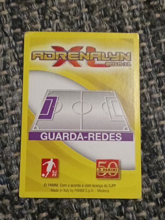 Card Helton Adrelanyn XL 2010