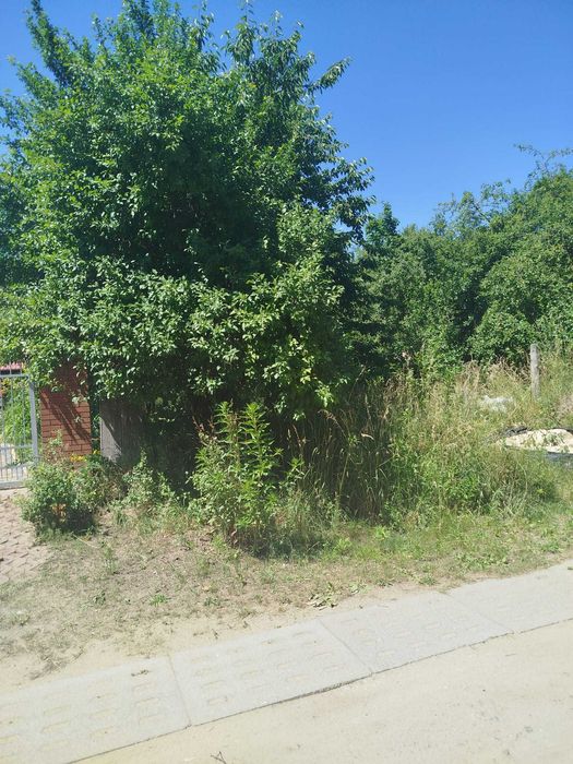 Działka na sprzedaż - Trzcianka - Widok 5