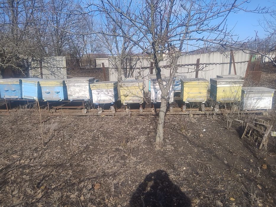 Продам вулики для бджіл