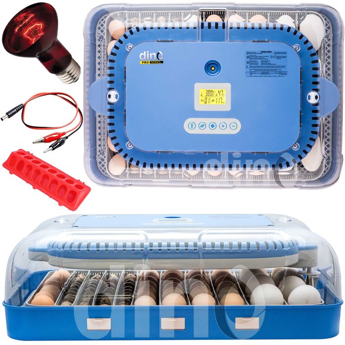 INKUBATOR automatyczny DINO PRO 70 jaj 12V 230V wylęgarka + AKCESORIA