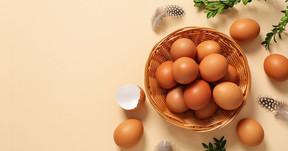 Ovos caseiros qualidade