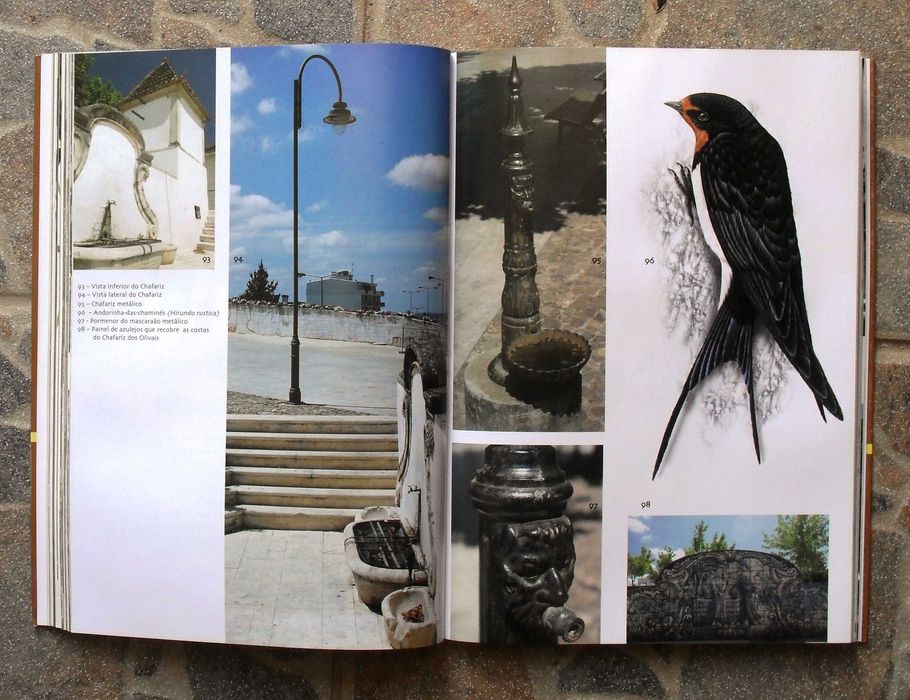 Fontes e Chafarizes de Coimbra